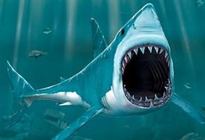 City Shark Chase: London Dash